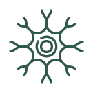 nerve icon